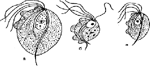 155
