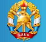 Всероссийское добровольное пожарное общество, Общероссийская общественная организация